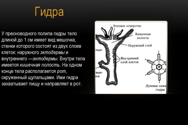 Блэк спрут бот телеграмм