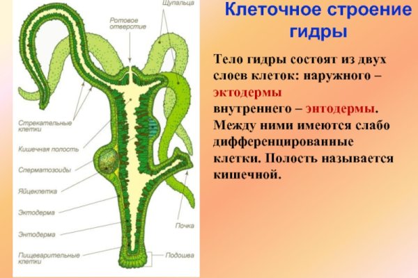 Блакед сом blacksprut adress com