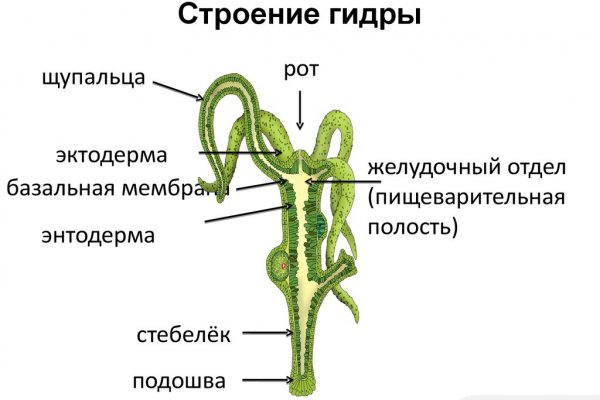 Сайт bs ru