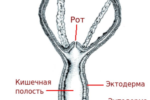 Clear bs2tor2 cc blacksprut adress com