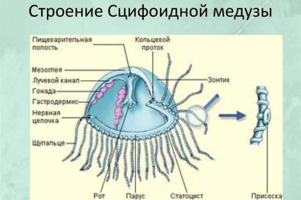 Логин пароль blacksprut blackprut com